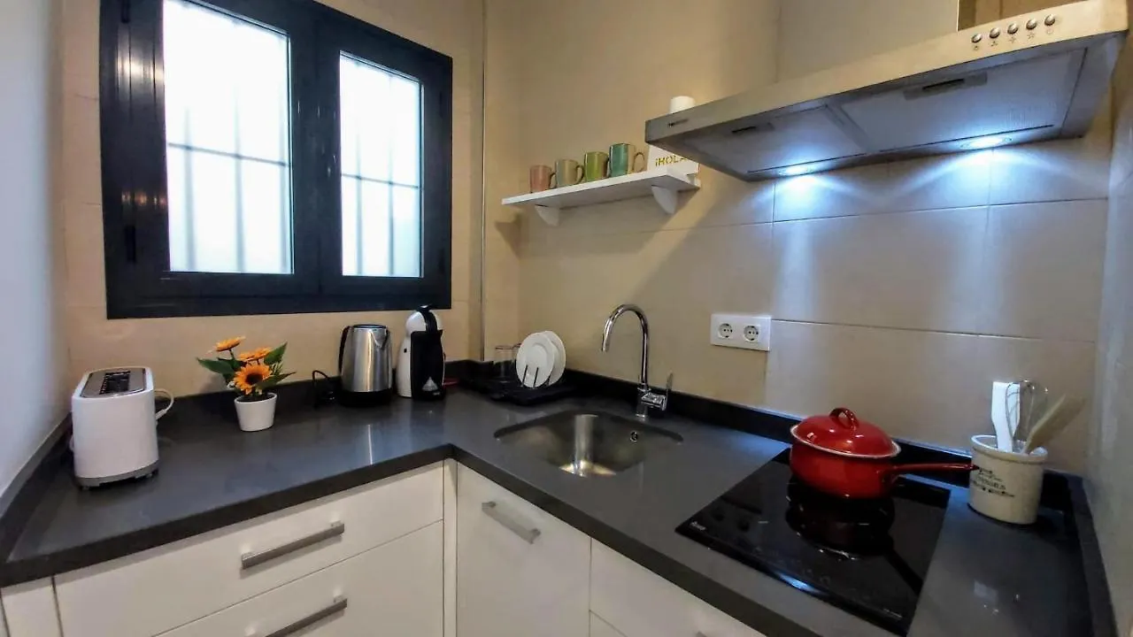 Misterhost Duplex Centrico Y Tranquilo Wifi Smarttv Apartment Seville 0*,